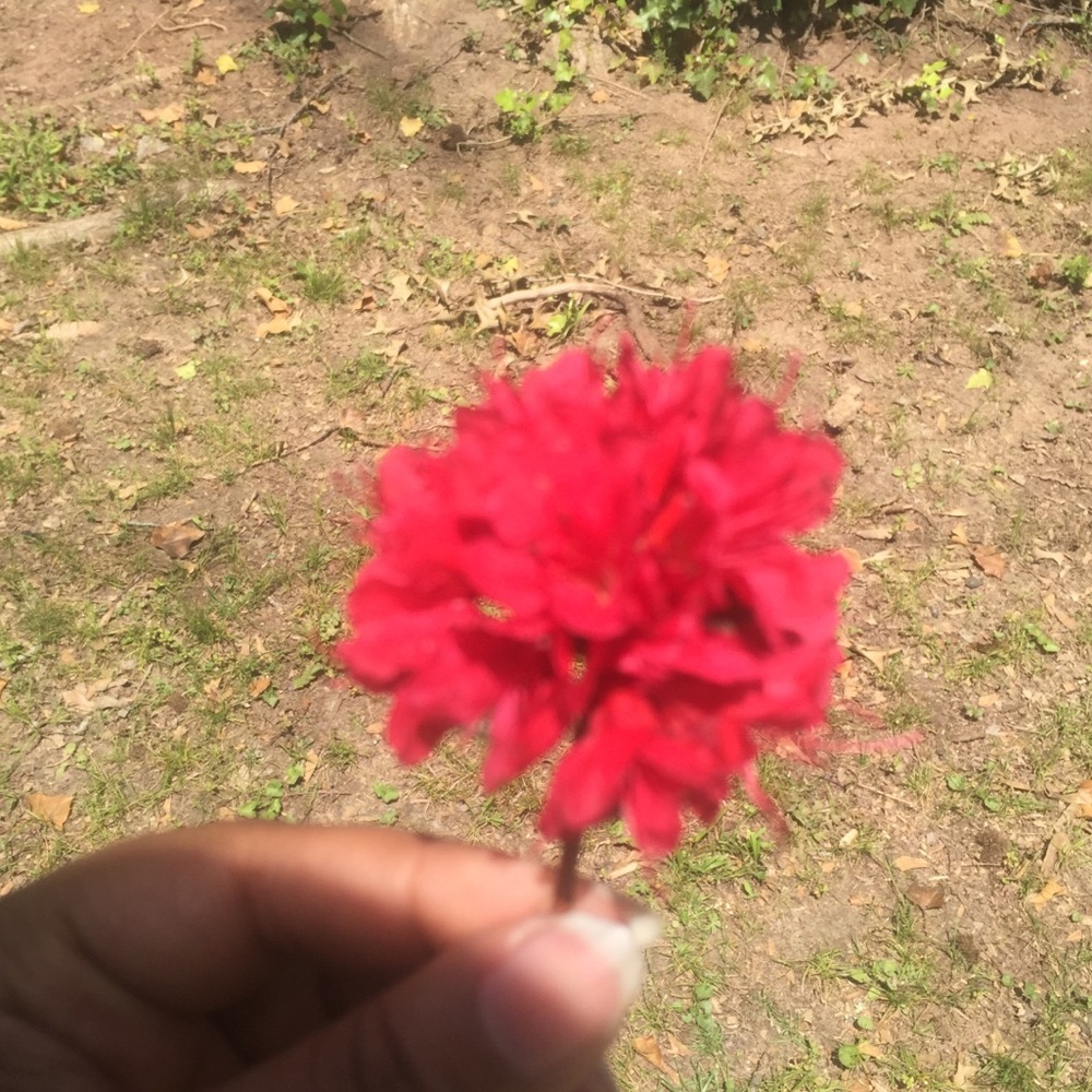 Meet your Posher, Tomitra